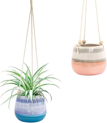 Hanging Planters